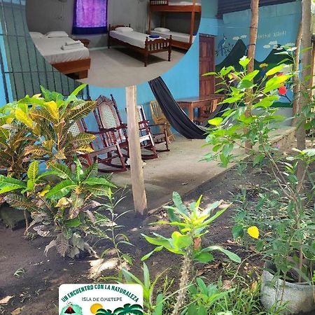 Hostal Xilotl San Jose del Sur Екстер'єр фото